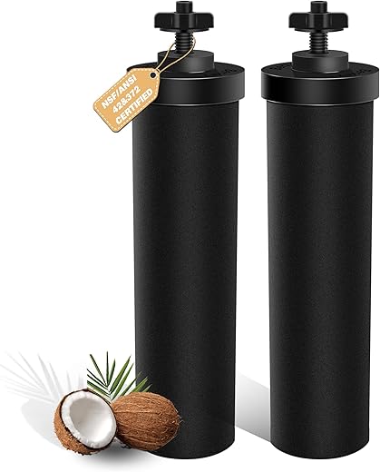 Berkey® Black Filter Replacement 2 Pack: Essential Water Purification Solution