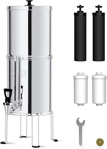 Waterdrop Gravity Water Filter System Review